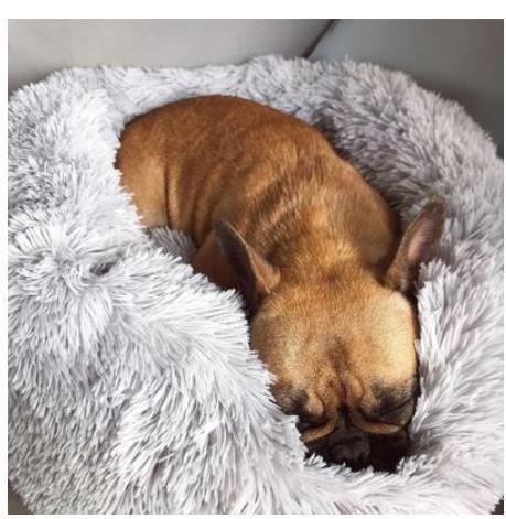 Soft Round Plush Bed for Cats & Small Dogs