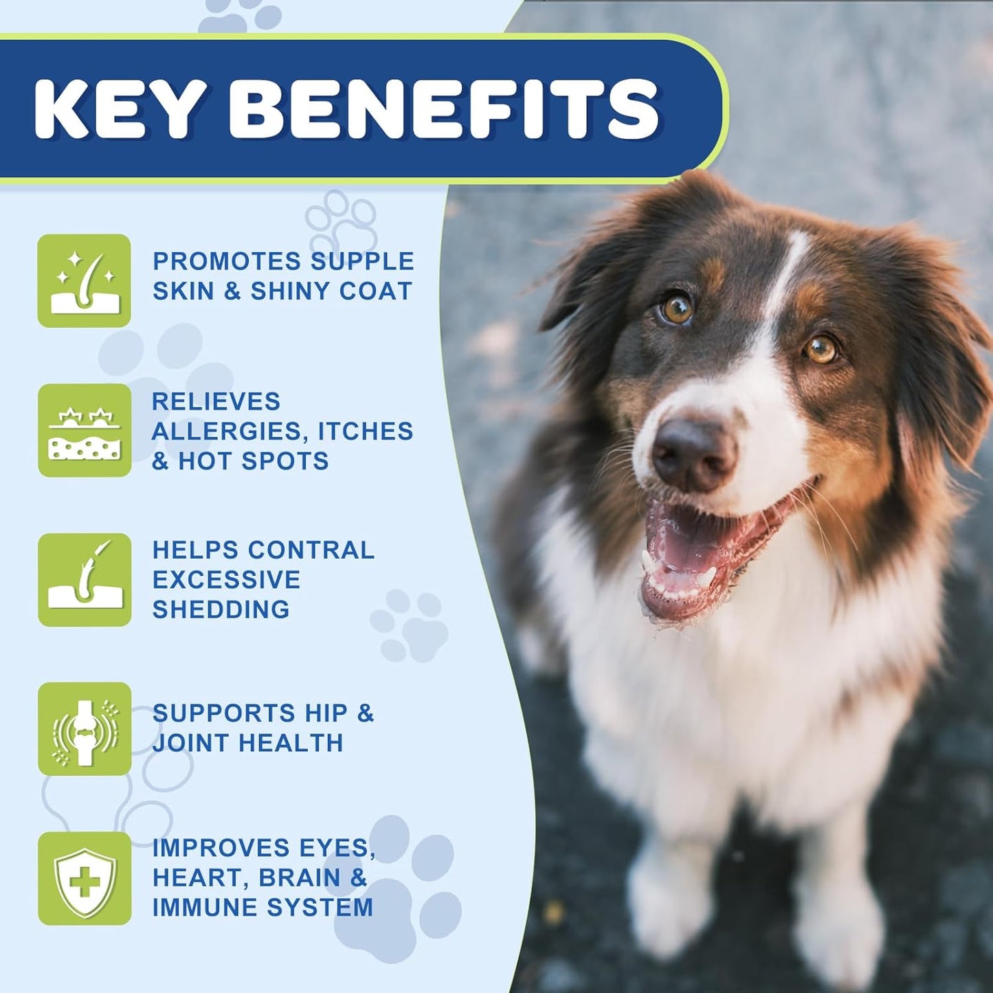 Omega 3 Fish Oil for Dogs & Cats- Salmon Oil with EPA & DHA Fatty Acids