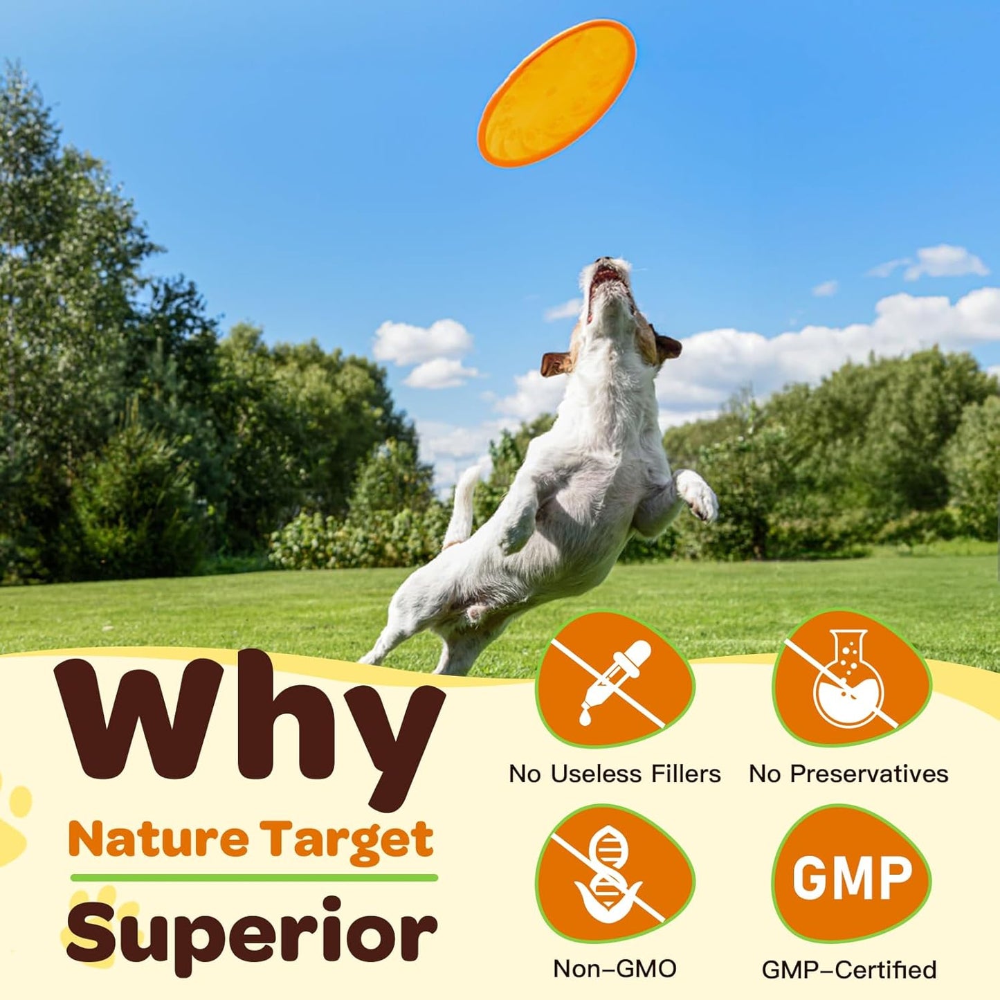 Glucosamine Joint Supplement for Dogs & Cats: Includes Chondroitin, MSM, and Turmeric to Support Hip and Joint Mobility