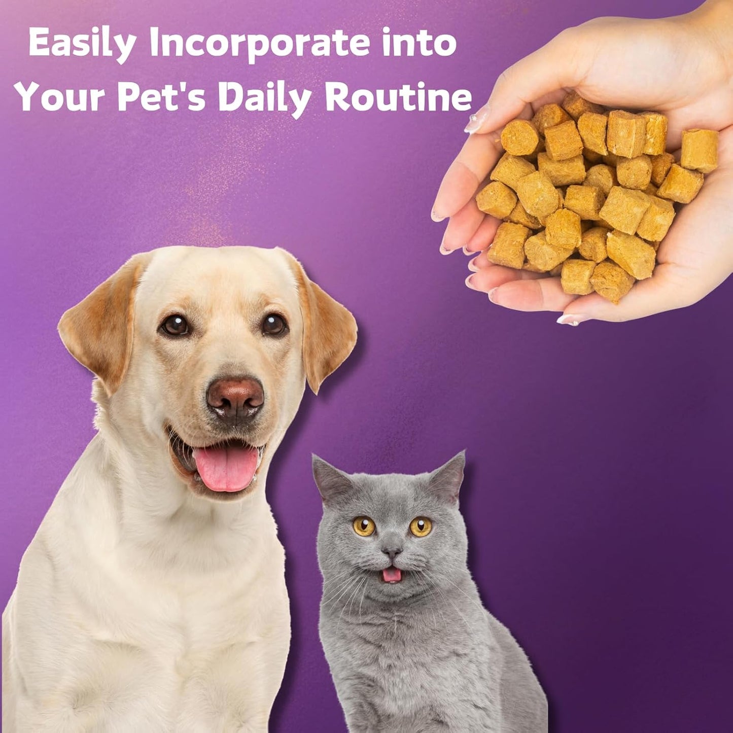 Probiotics for Dogs & Cats, 6 Billion CFUs, Freeze Dried with Prebiotics and Enzymes