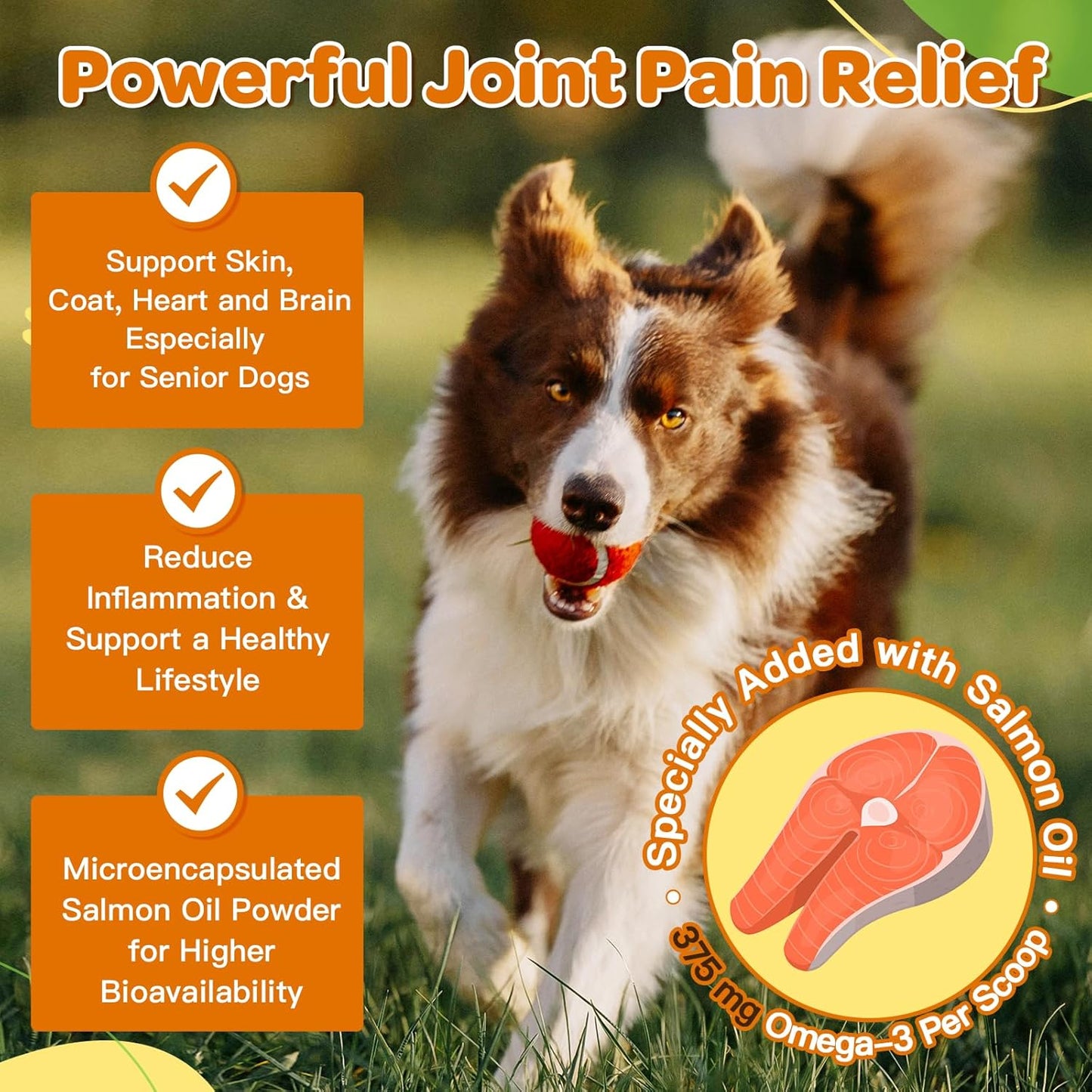 Glucosamine Joint Supplement for Dogs & Cats: Includes Chondroitin, MSM, and Turmeric to Support Hip and Joint Mobility