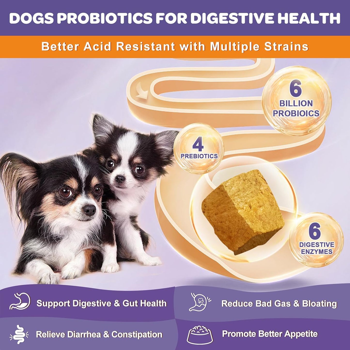 Probiotics for Dogs & Cats, 6 Billion CFUs, Freeze Dried with Prebiotics and Enzymes