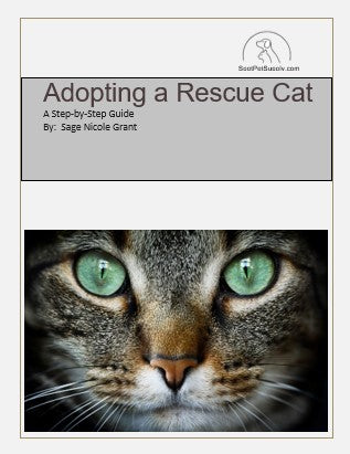 Adopting a Rescue Cat: A Step-by-Step Guide (eBook)