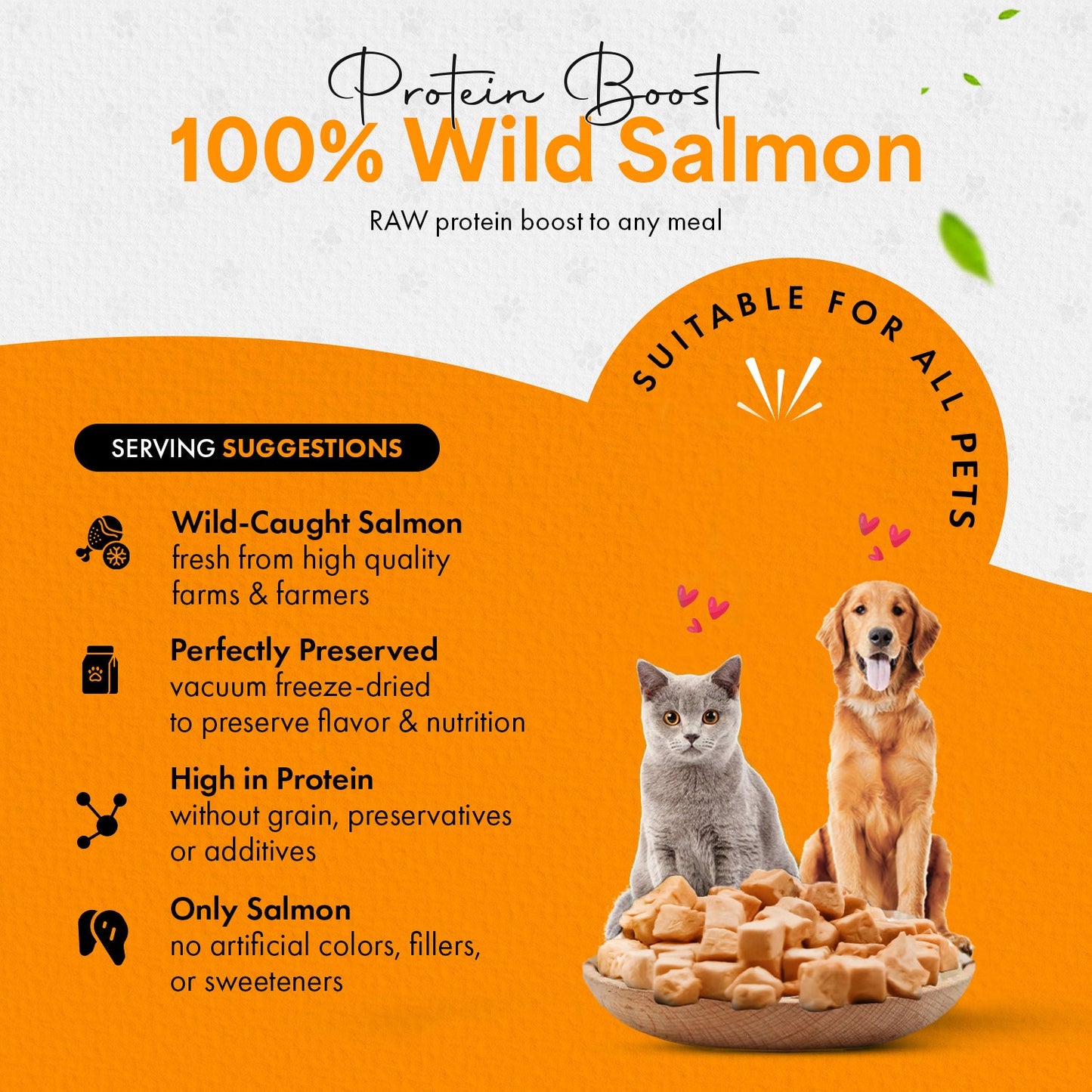 Freeze Dried Salmon Cat & Dog Treats - Made from 100% Wild Caught Salmon - Only 1 Ingredient - Healthy, Raw, Dry Food for Indoor Cats, Kittens, Dogs - Made in The USA - Salmon (1.75oz-5.3oz)