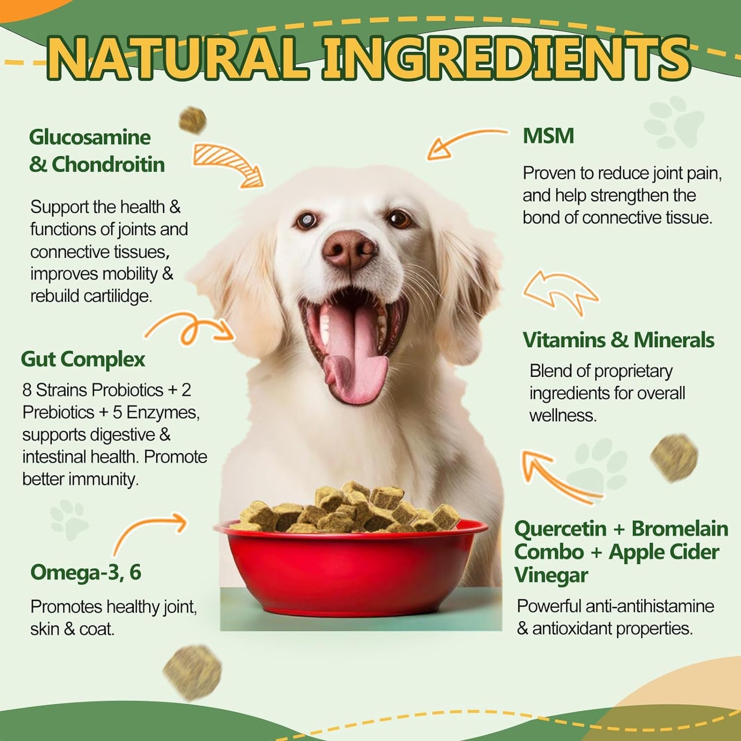 Dog & Cat Multivitamin Complete Supplement with MSM & Glucosamine, Omegas 3 & 6, Probiotics