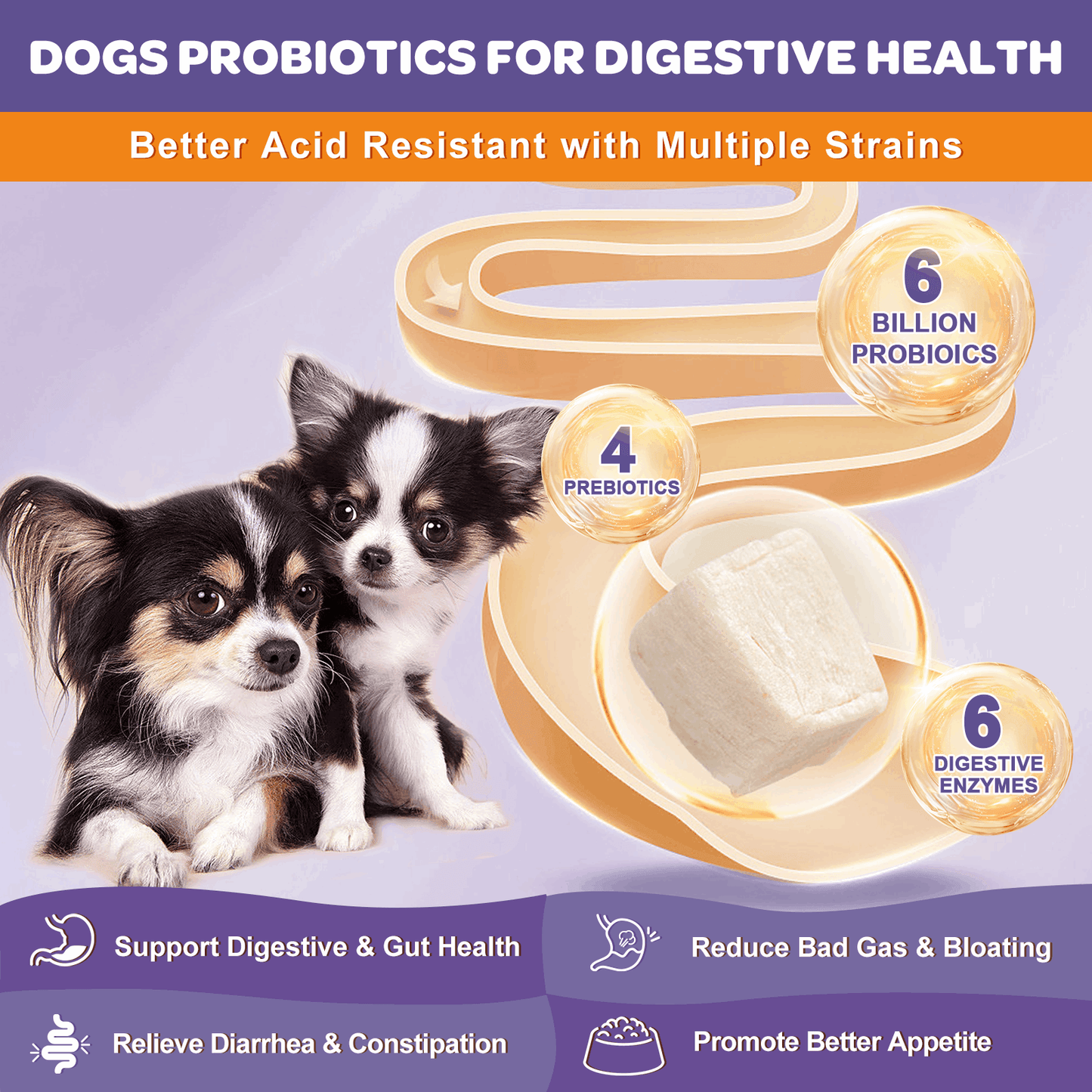 Probiotics + Prebiotics + Digestive Enzymes + Omega 3 for Dogs & Cats, Reduce Diarrhea Flatulence