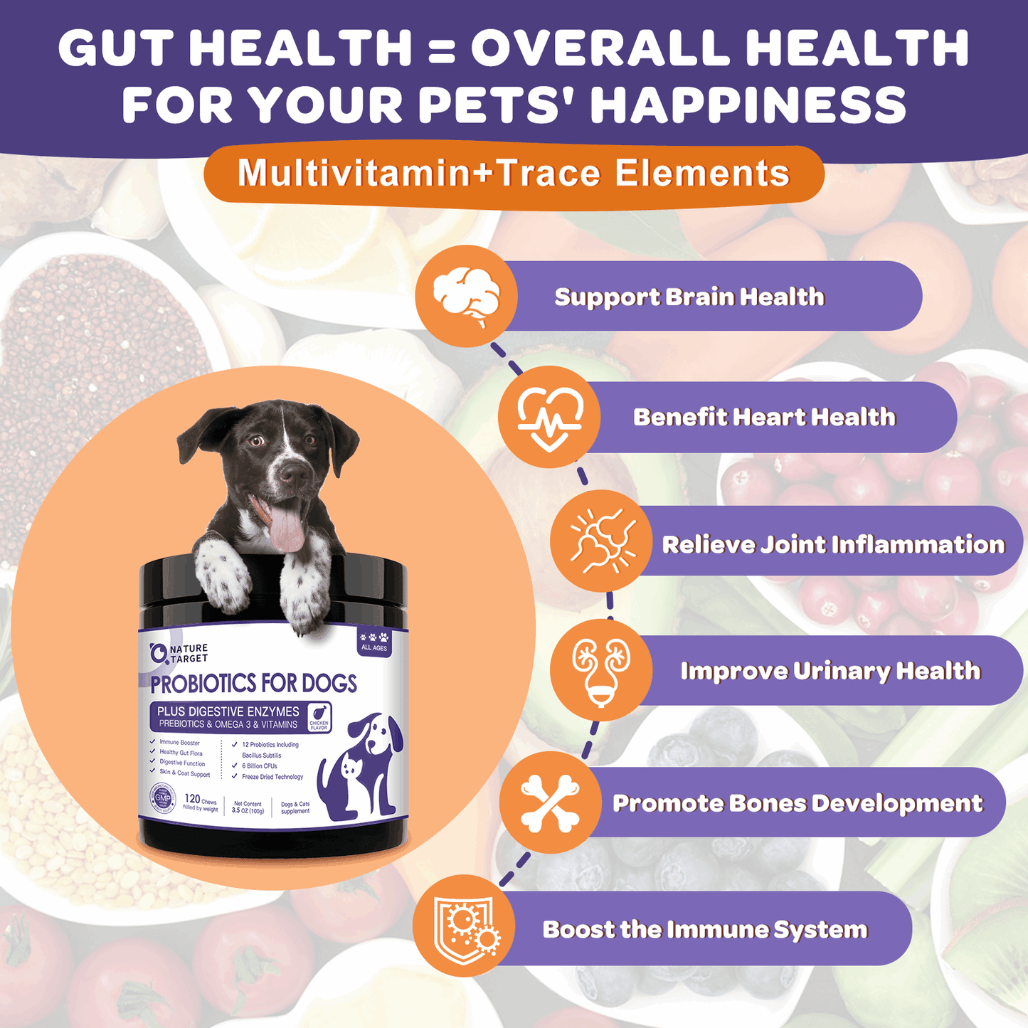 Probiotics + Prebiotics + Digestive Enzymes + Omega 3 for Dogs & Cats, Reduce Diarrhea Flatulence