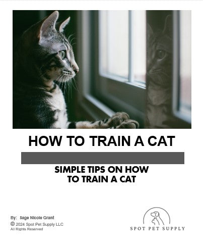 How to Train a Cat: Simple Tips on How to Train a Cat (eBook)