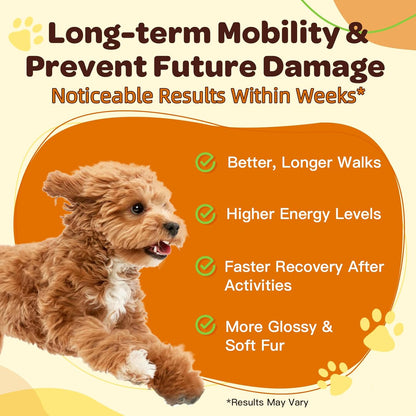 Glucosamine Joint Supplement for Dogs & Cats: Includes Chondroitin, MSM, and Turmeric to Support Hip and Joint Mobility