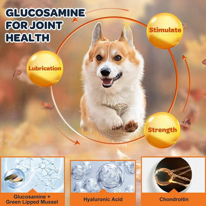 Glucosamine Chews for Dog & Cat, with Skin, Coat, Digestive and Immune Health