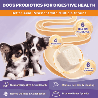 Probiotics + Prebiotics + Digestive Enzymes + Omega 3 for Dogs & Cats, Reduce Diarrhea Flatulence